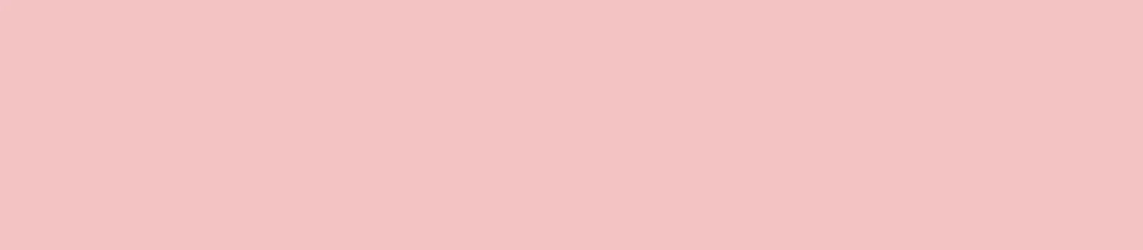 Makeup Palette